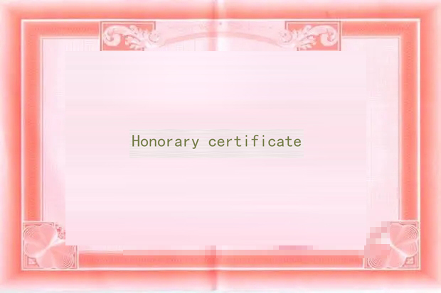 荣誉证书VIII