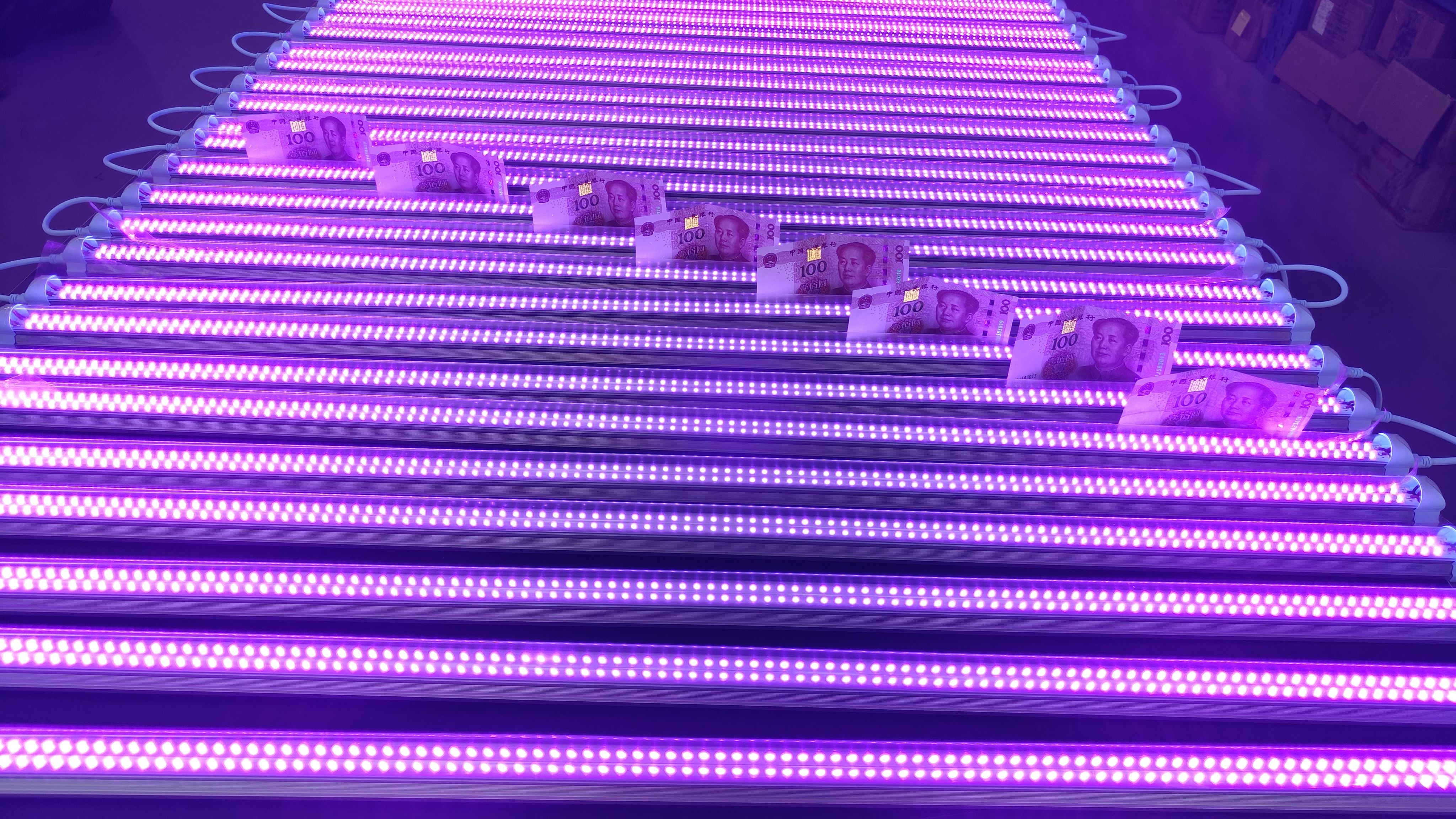 T8 double row LED UV tube 395NM T8 double row LED UV tube 395NM